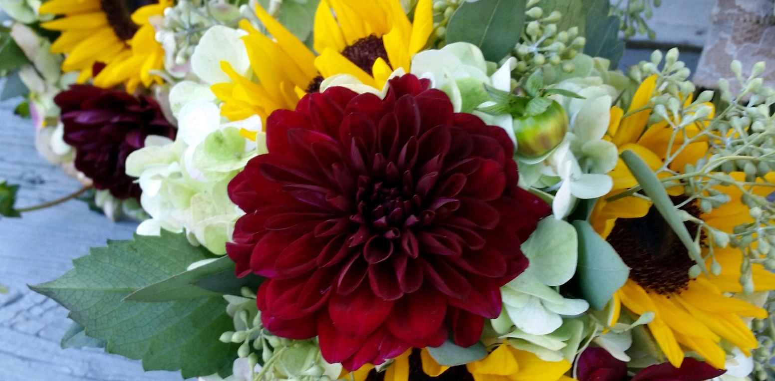 Lazy Daisy Flowers and Gifts - Keysville, VA