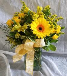 Tooty Fruity Yellow