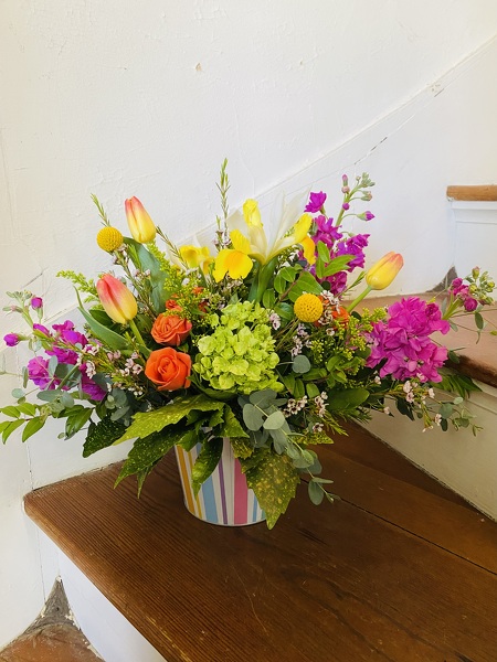 Fascination from Lazy Daisy Flowers and Gifts in Keysville, VA
